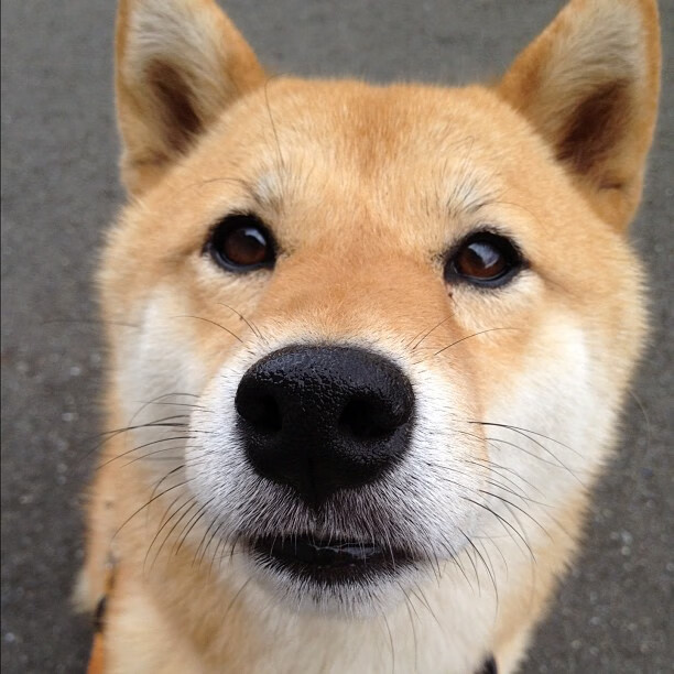 爱游戏体育app-英超激烈争夺：悬念重重，场场精彩！，英超争冠