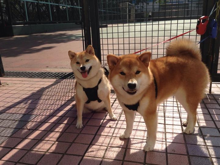 覃海洋爆发力强劲 一触即发,覃海洋照片