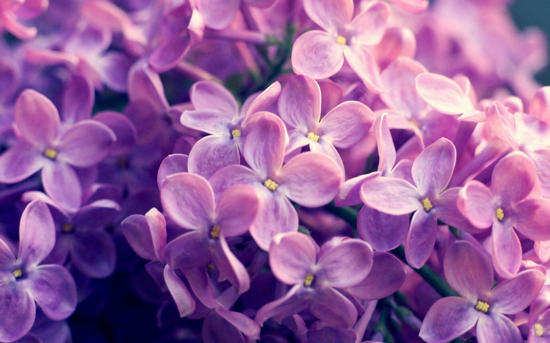 达里尔·基:他通过精确的防守让全黑队的后防线屹立不倒,达里尔是什么职业