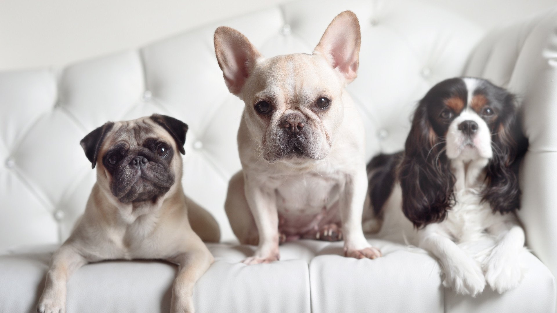 爱游戏体育官方网站-青年联赛潜力球员入选国家队，引发选秀关注，青年超级联赛