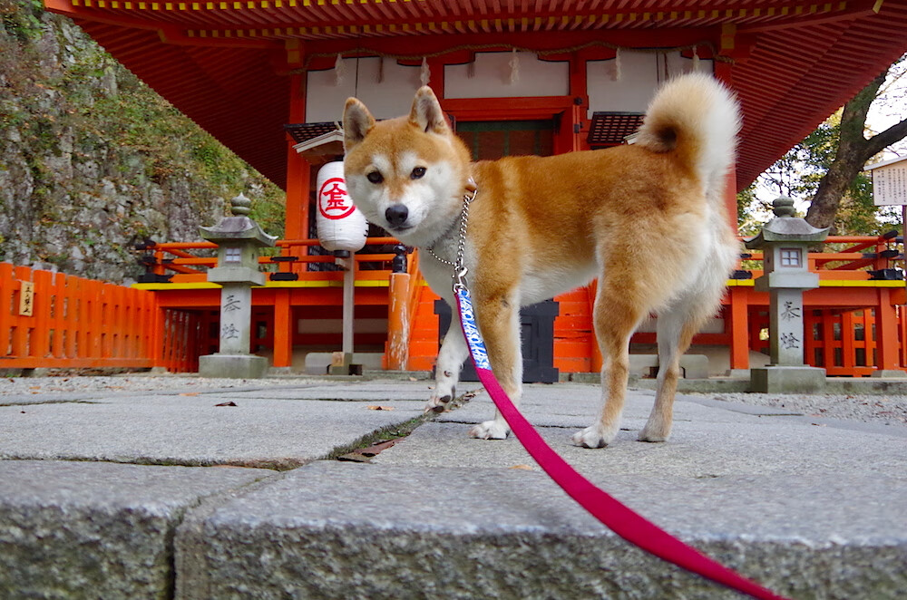青年联赛潜力球员入选国家队,引发选秀关注,青年超级联赛