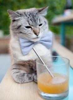 顶级赛事落地带动区域体育基础设施加速完善,大型体育赛事与城市发展