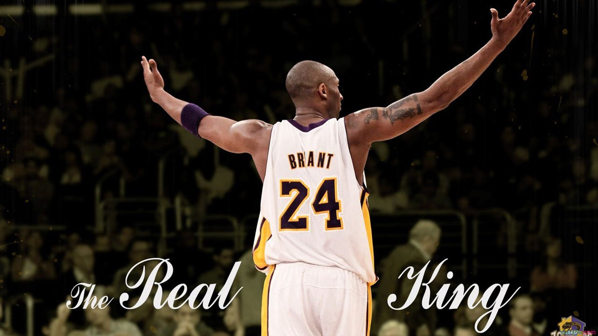 AIYOUXI.COM-“金牛区城北体育馆：运动舞蹈赛，赛场上每个动作都是舞者突破极限的体现”